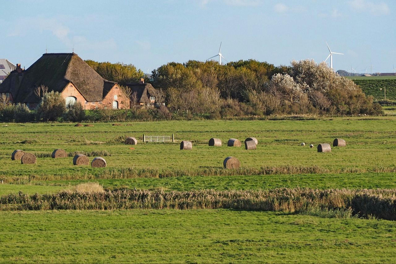 Wonen op boerenerven en woningsplitsen in Súdwest-Fryslân