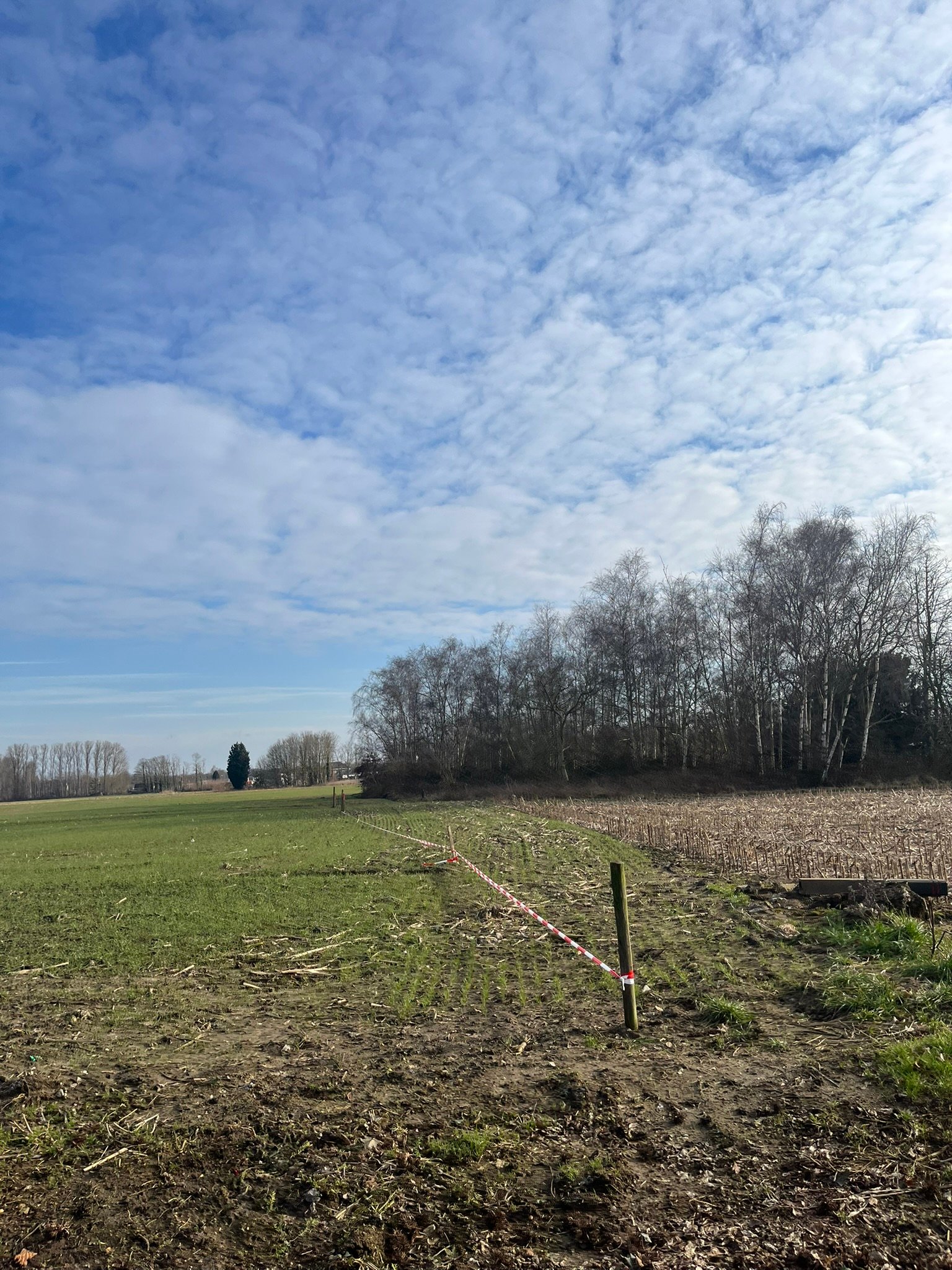 Initiative image 1