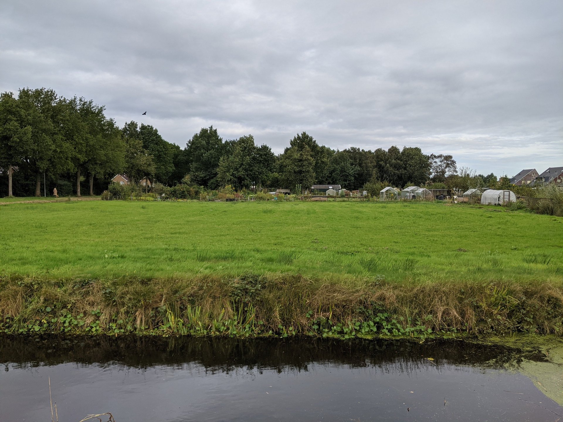 Initiative image 1