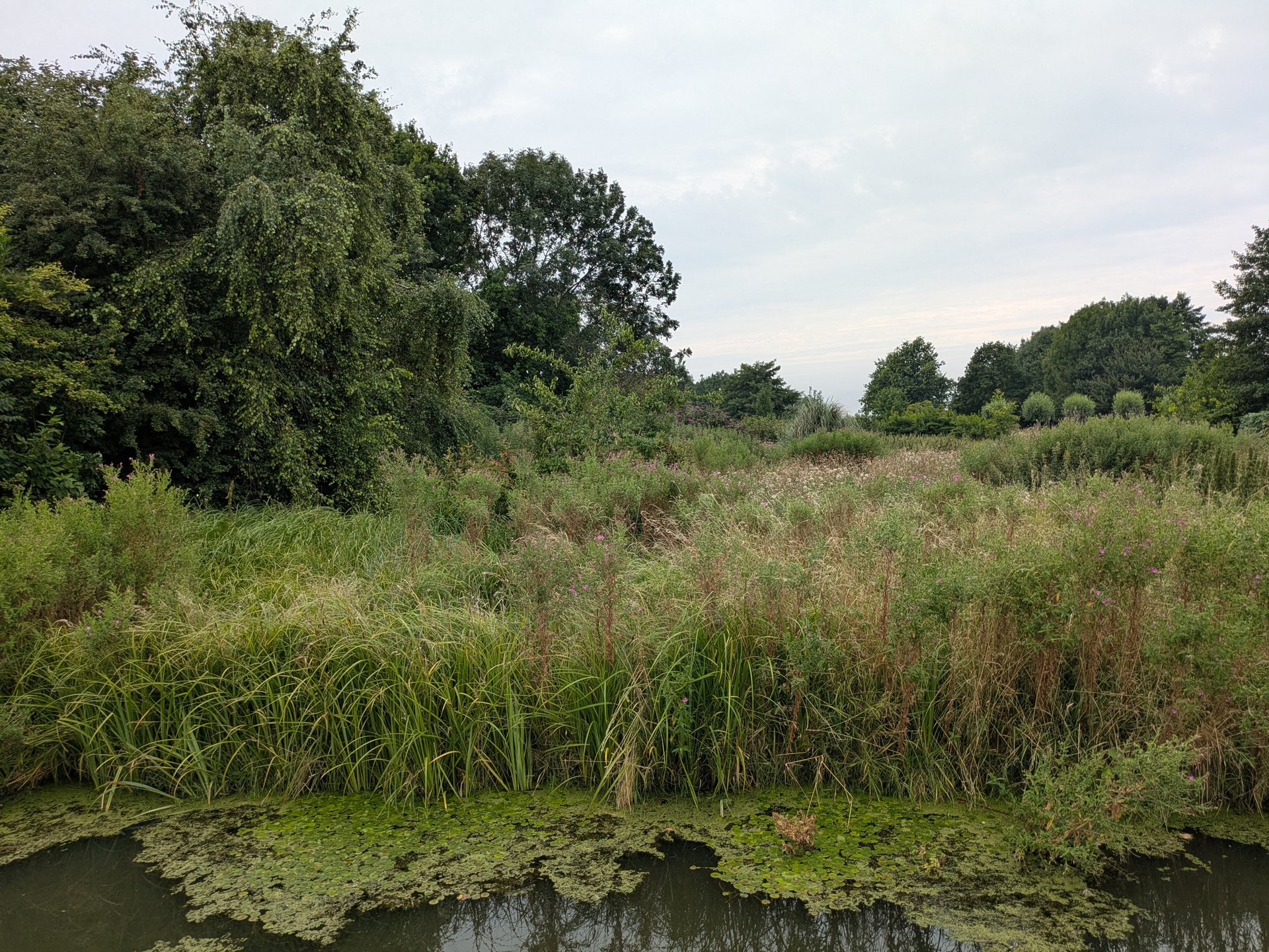 Initiative image 1
