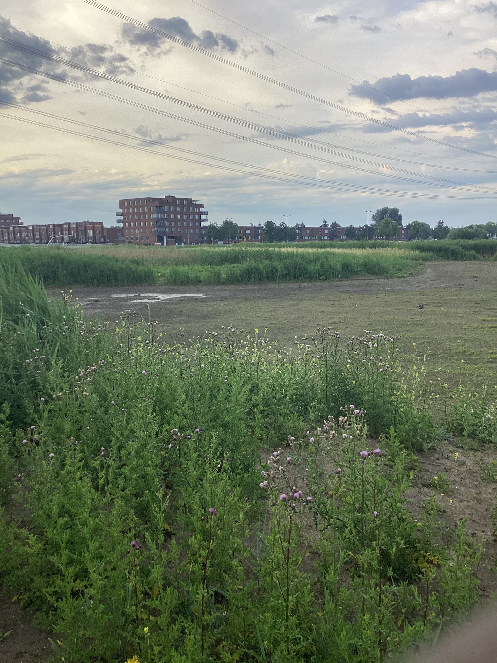 Waldorf Community Rotterdam Nesselande