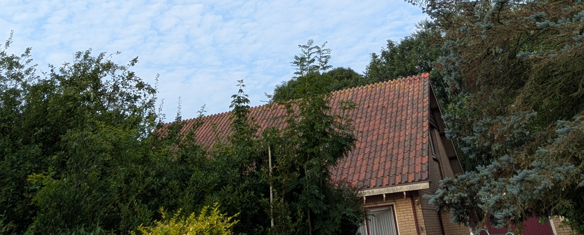 Initiative image 2