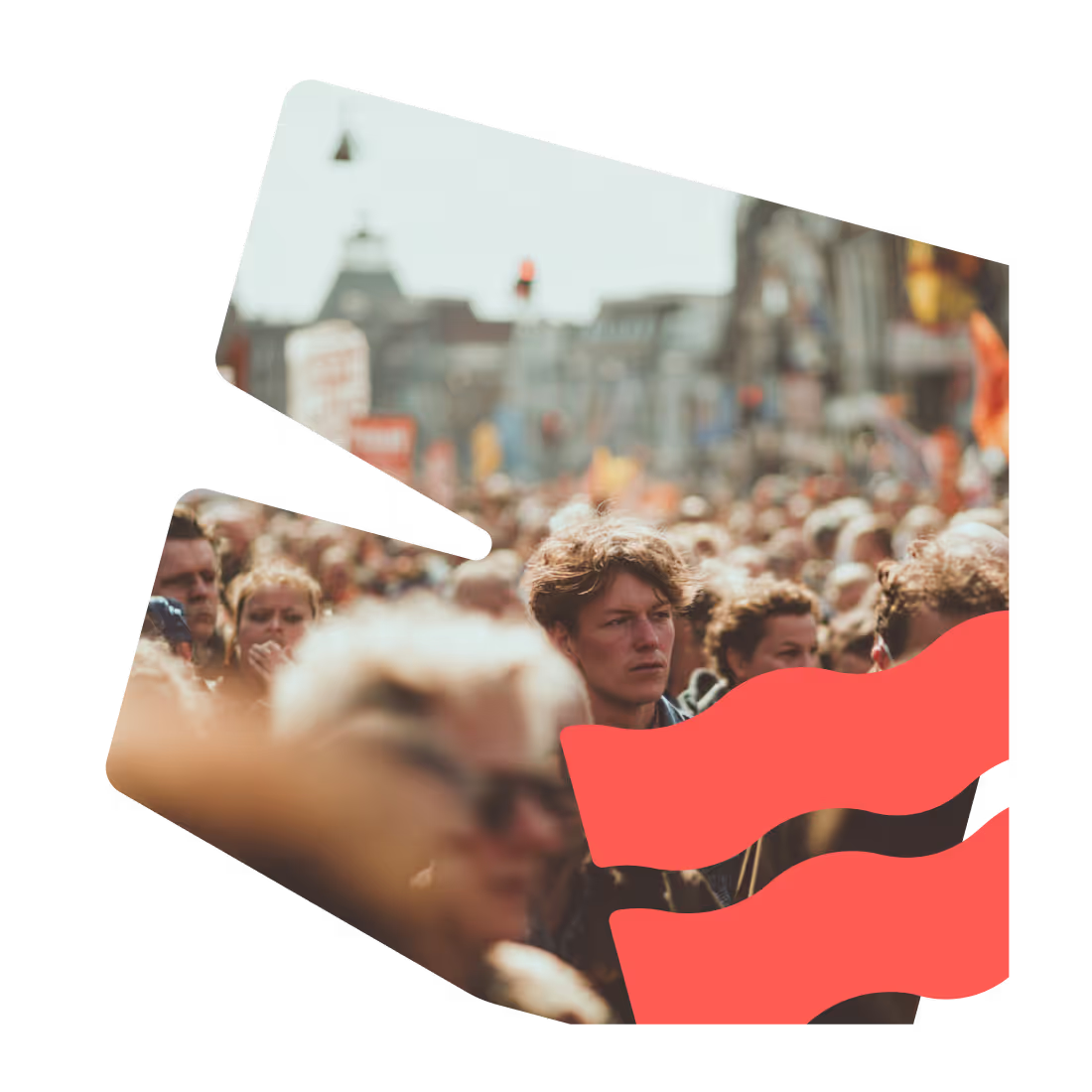 waarom steward-owned